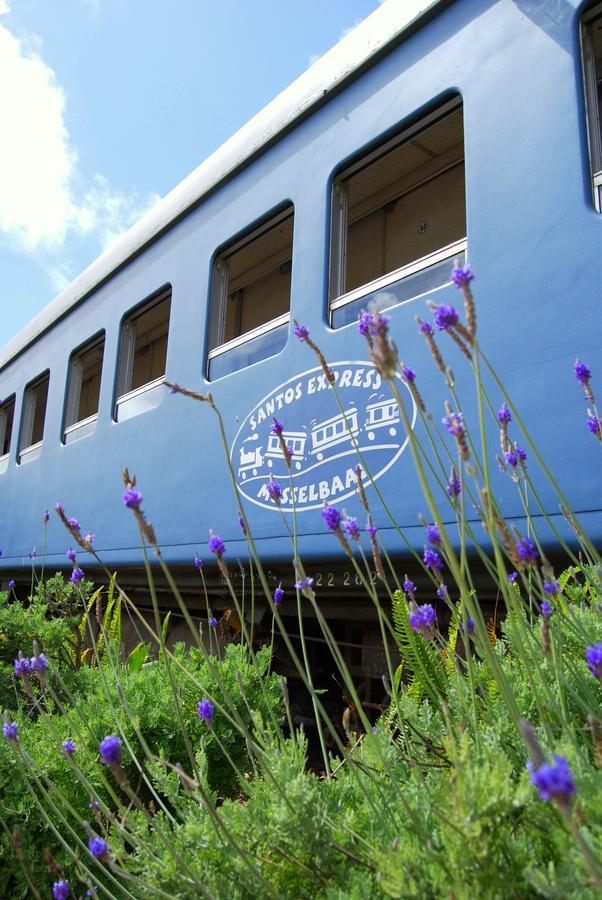 Santos Express Hostel Mossel Bay Kültér fotó