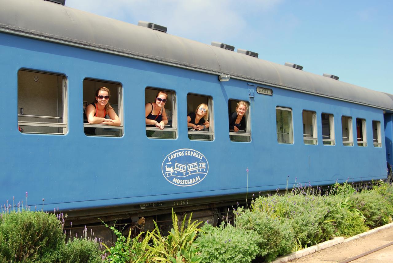 Santos Express Hostel Mossel Bay Kültér fotó